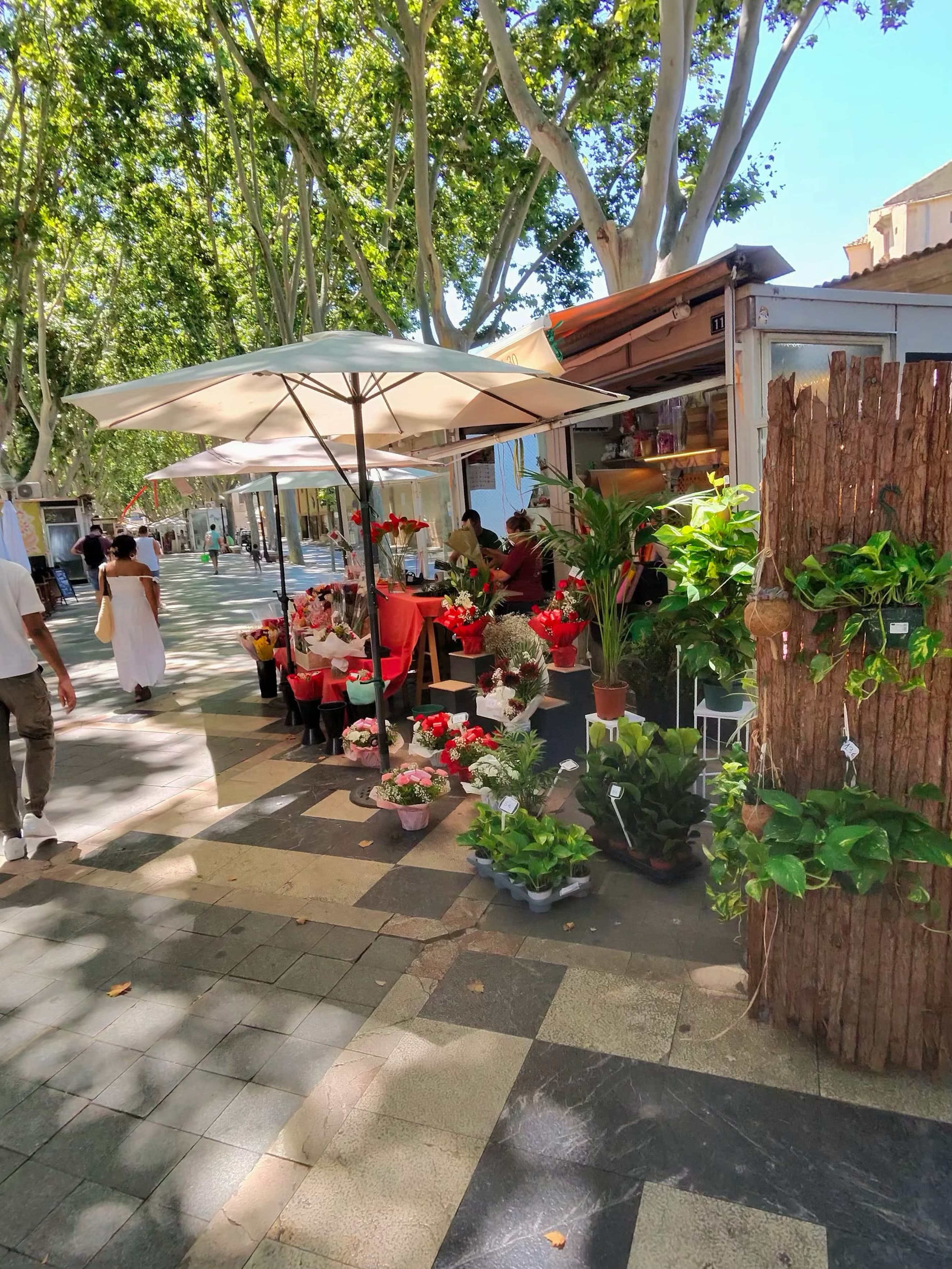 Sunny tree-lined promenade with an outdoor flower market stall, white umbrella, red bouquets, and potted plants on a checkere